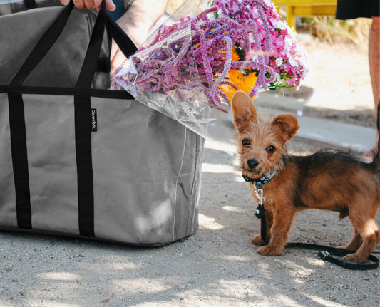 Farmers Market Eco Tote - Shadow Grey/Black